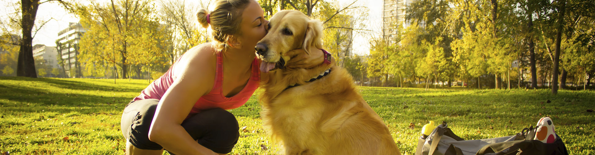 venlafaxine effexor Specialized compounding<br> for your family pet!